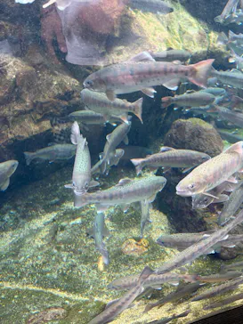 栃木県なかがわ水遊園に投稿された画像（2026/8/15）