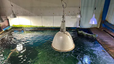 越前松島水族館に投稿された画像（2026/8/15）