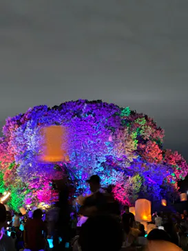 東京 星空と光の夏祭り（開催日：8月8日～16日）に投稿された画像（2026/8/15）
