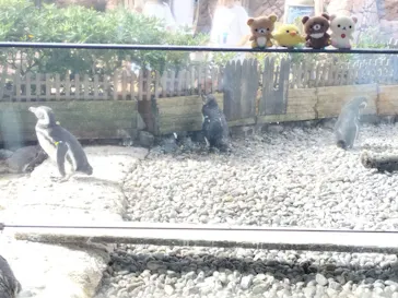 上越市立水族博物館 うみがたりに投稿された画像（2026/8/15）