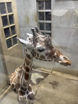 日立市かみね動物園に投稿された画像（2026/8/15）