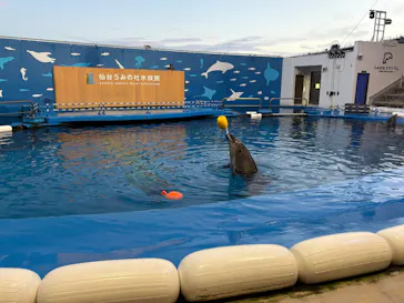 仙台うみの杜水族館に投稿された画像（2026/8/15）