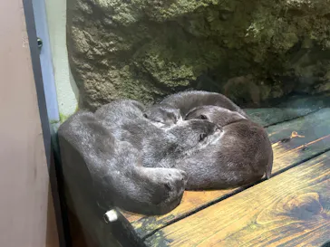 仙台うみの杜水族館に投稿された画像（2026/8/15）