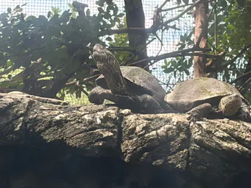 世界淡水魚園水族館　アクア・トトぎふに投稿された画像（2026/8/15）