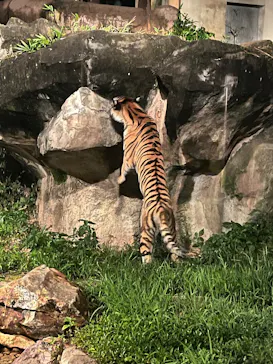 いしかわ動物園に投稿された画像（2026/8/15）