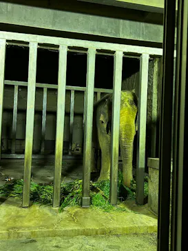 日立市かみね動物園に投稿された画像（2026/8/15）