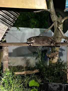 日立市かみね動物園に投稿された画像（2026/8/15）