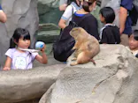 神戸どうぶつ王国に投稿された画像（2026/8/15）