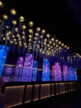 アートアクアリウム美術館 GINZAに投稿された画像（2026/8/15）