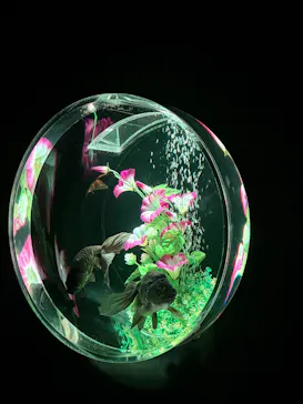 アートアクアリウム美術館 GINZAに投稿された画像（2026/8/15）