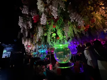 アートアクアリウム美術館 GINZAに投稿された画像（2026/8/15）