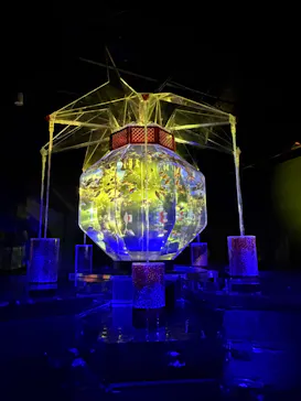 アートアクアリウム美術館 GINZAに投稿された画像（2026/8/15）