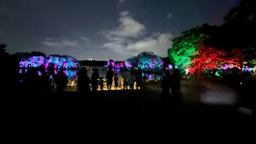 チームラボ ボタニカルガーデン 大阪に投稿された画像（2026/8/15）