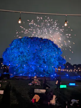 東京 星空と光の夏祭り（開催日：8月8日～16日）に投稿された画像（2026/8/15）