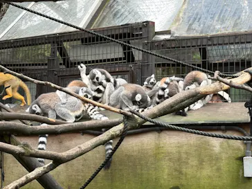伊豆シャボテン動物公園に投稿された画像（2026/8/15）