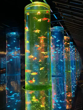アートアクアリウム美術館 GINZAに投稿された画像（2026/8/15）