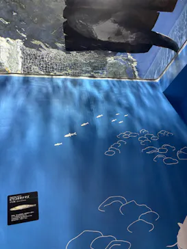 滋賀県立琵琶湖博物館に投稿された画像（2026/8/15）