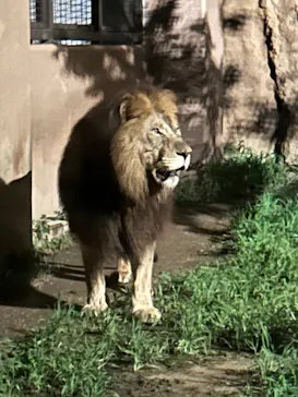 日立市かみね動物園に投稿された画像（2026/8/15）