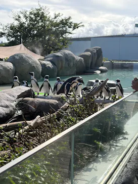 仙台うみの杜水族館に投稿された画像（2026/8/15）