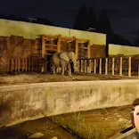 東武動物公園に投稿された画像（2026/8/15）