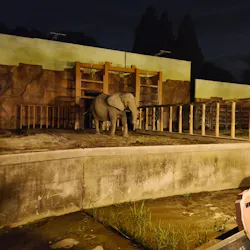東武動物公園に投稿された画像（2026/8/15）