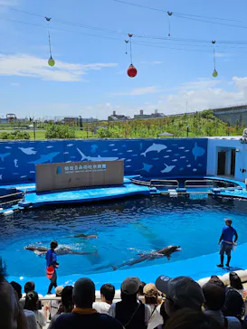 仙台うみの杜水族館に投稿された画像（2026/8/15）