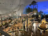 福井県立恐竜博物館に投稿された画像（2026/8/15）