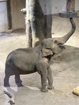 多摩動物公園に投稿された画像（2026/8/15）