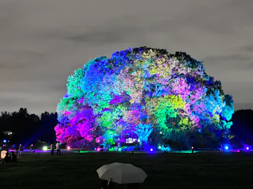 東京 星空と光の夏祭り（開催日：8月8日～16日）に投稿された画像（2026/8/15）