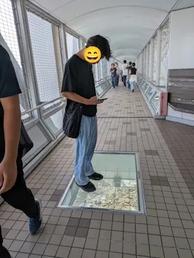 徳島県立 渦の道に投稿された画像（2026/8/15）