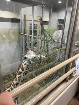 日立市かみね動物園に投稿された画像（2026/8/15）