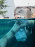 天王寺動物園に投稿された画像（2026/8/16）