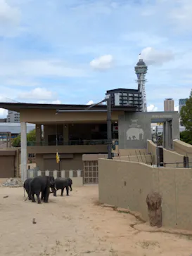天王寺動物園に投稿された画像（2026/8/15）