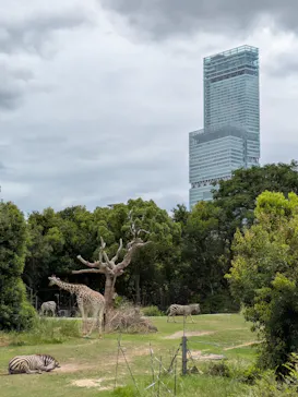 天王寺動物園に投稿された画像（2026/8/15）