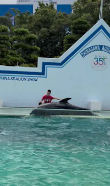 しながわ水族館に投稿された画像（2026/8/16）