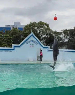 しながわ水族館に投稿された画像（2026/8/16）