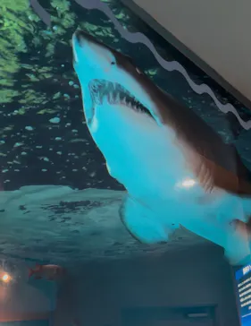 しながわ水族館に投稿された画像（2026/8/16）