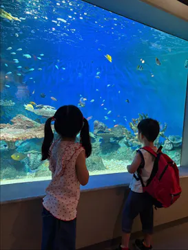 しながわ水族館に投稿された画像（2026/8/16）