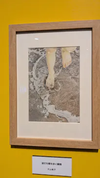 プレバト才能アリ展（大阪会場）に投稿された画像（2026/8/16）
