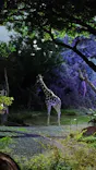 天王寺動物園に投稿された画像（2026/8/16）