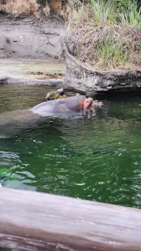 天王寺動物園に投稿された画像（2026/8/16）