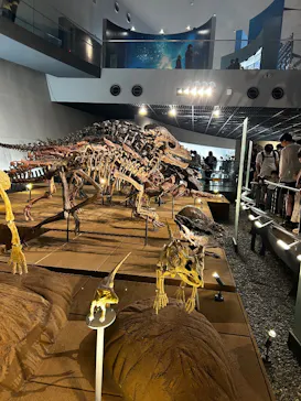 福井県立恐竜博物館に投稿された画像（2026/8/16）