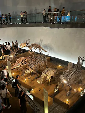 福井県立恐竜博物館に投稿された画像（2026/8/16）