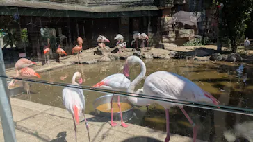秋田市大森山動物園に投稿された画像（2026/8/16）