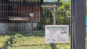 秋田市大森山動物園に投稿された画像（2026/8/16）