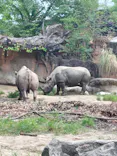 天王寺動物園に投稿された画像（2026/8/16）