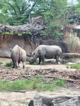 天王寺動物園に投稿された画像（2026/8/16）