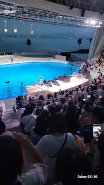 マリンワールド海の中道に投稿された画像（2026/8/16）