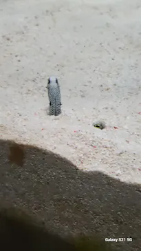 マリンワールド海の中道に投稿された画像（2026/8/16）