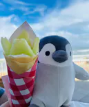 アクアワールド茨城県大洗水族館に投稿された画像（2026/8/16）